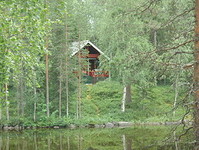 sauna,finland,summer, cottage,forest,wildlife